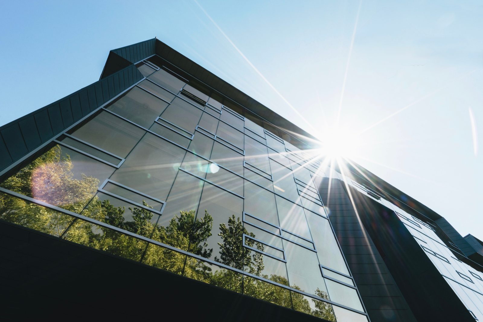 A commercial property Golden Bear services in the East Bay